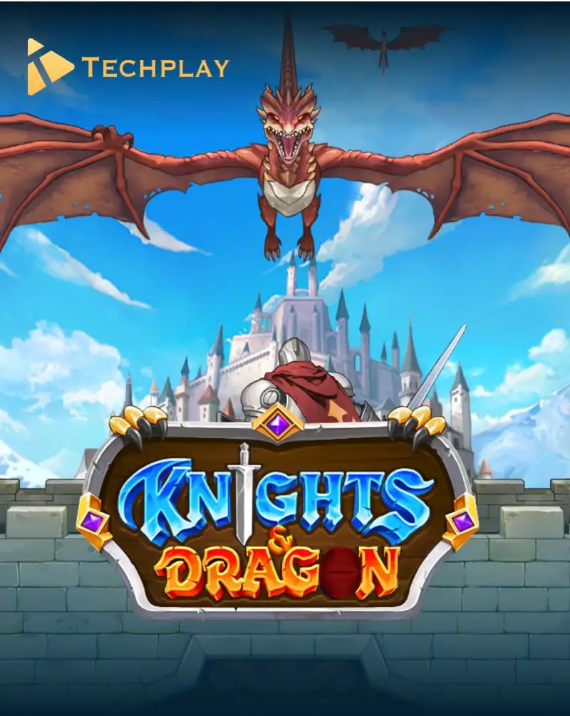 Knights & Dragon
