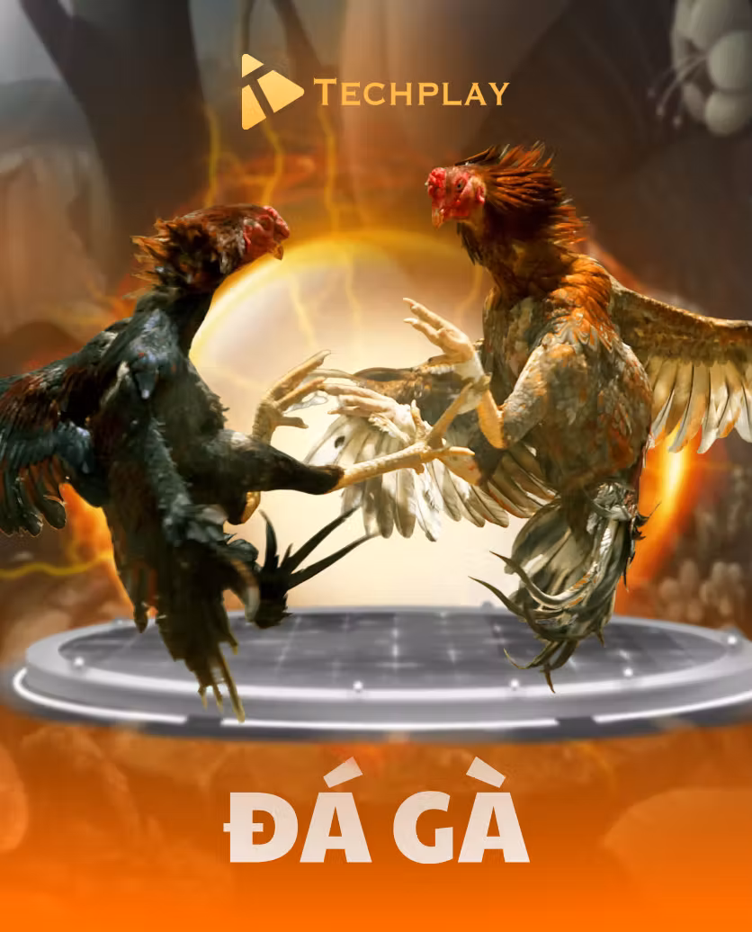 Đá Gà Techplay