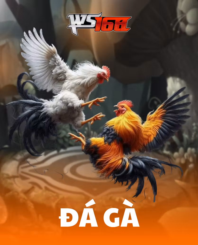 Đá Gà WS168